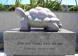Slow and steady wins the race
